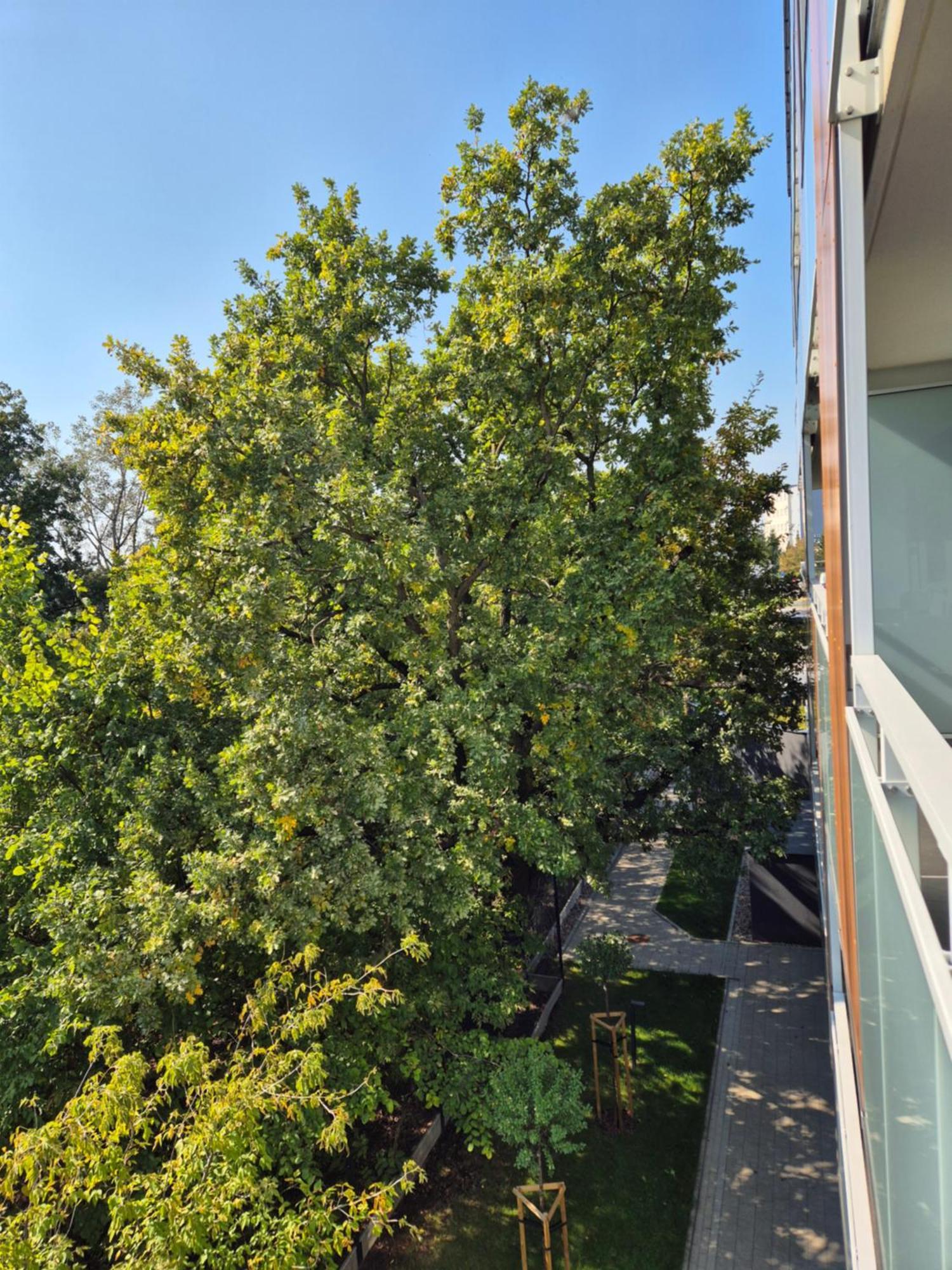 Great Apart Imielin 2 Varsovia Exterior foto